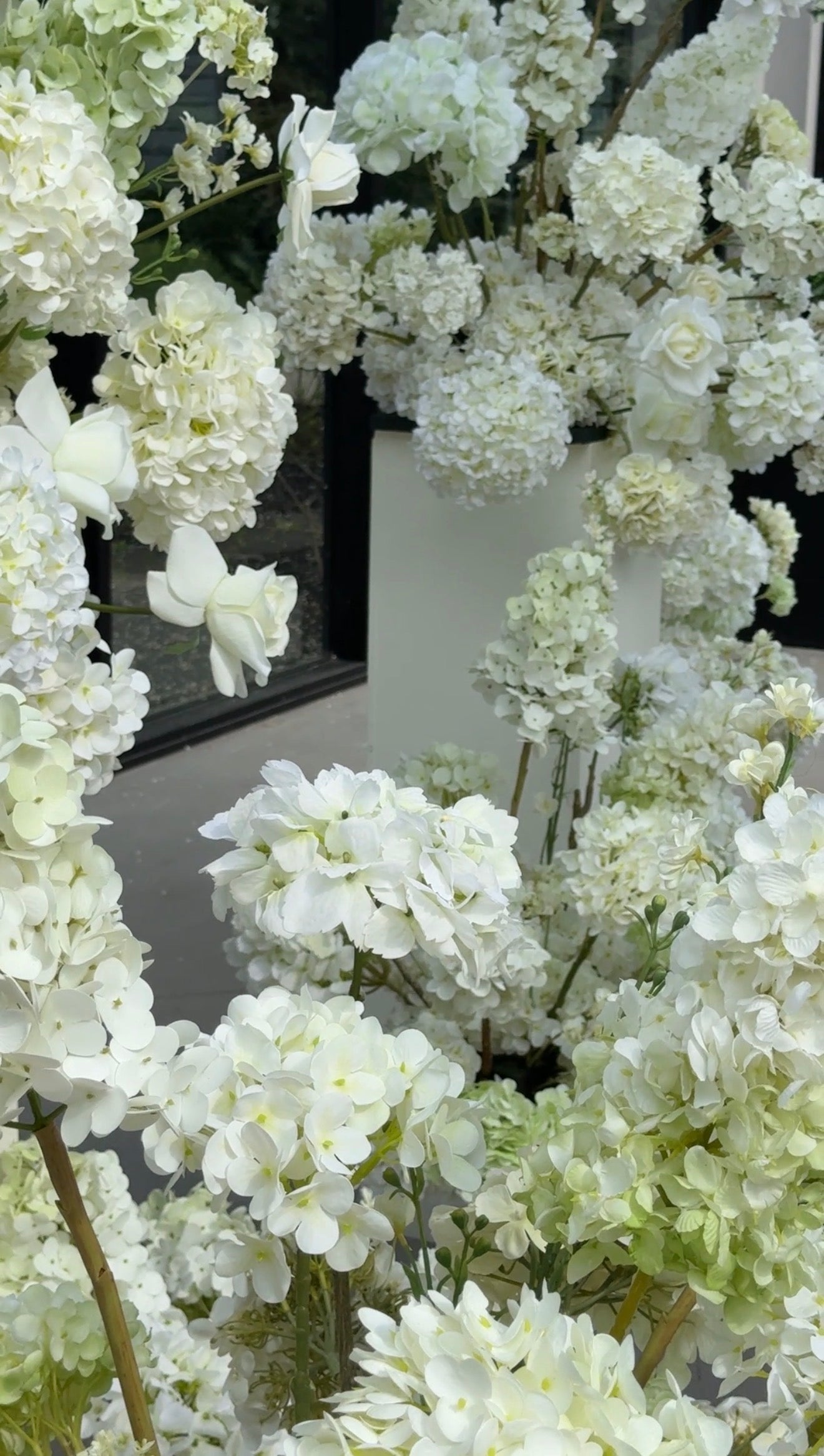 The White Hydrangea Backdrop
