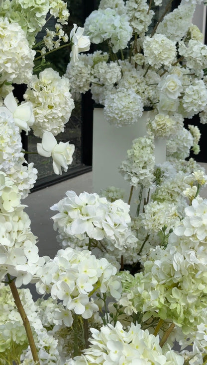 The White Hydrangea Backdrop