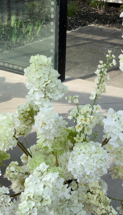 The White Hydrangea Backdrop