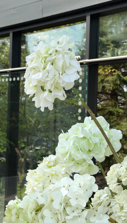 The White Hydrangea Backdrop