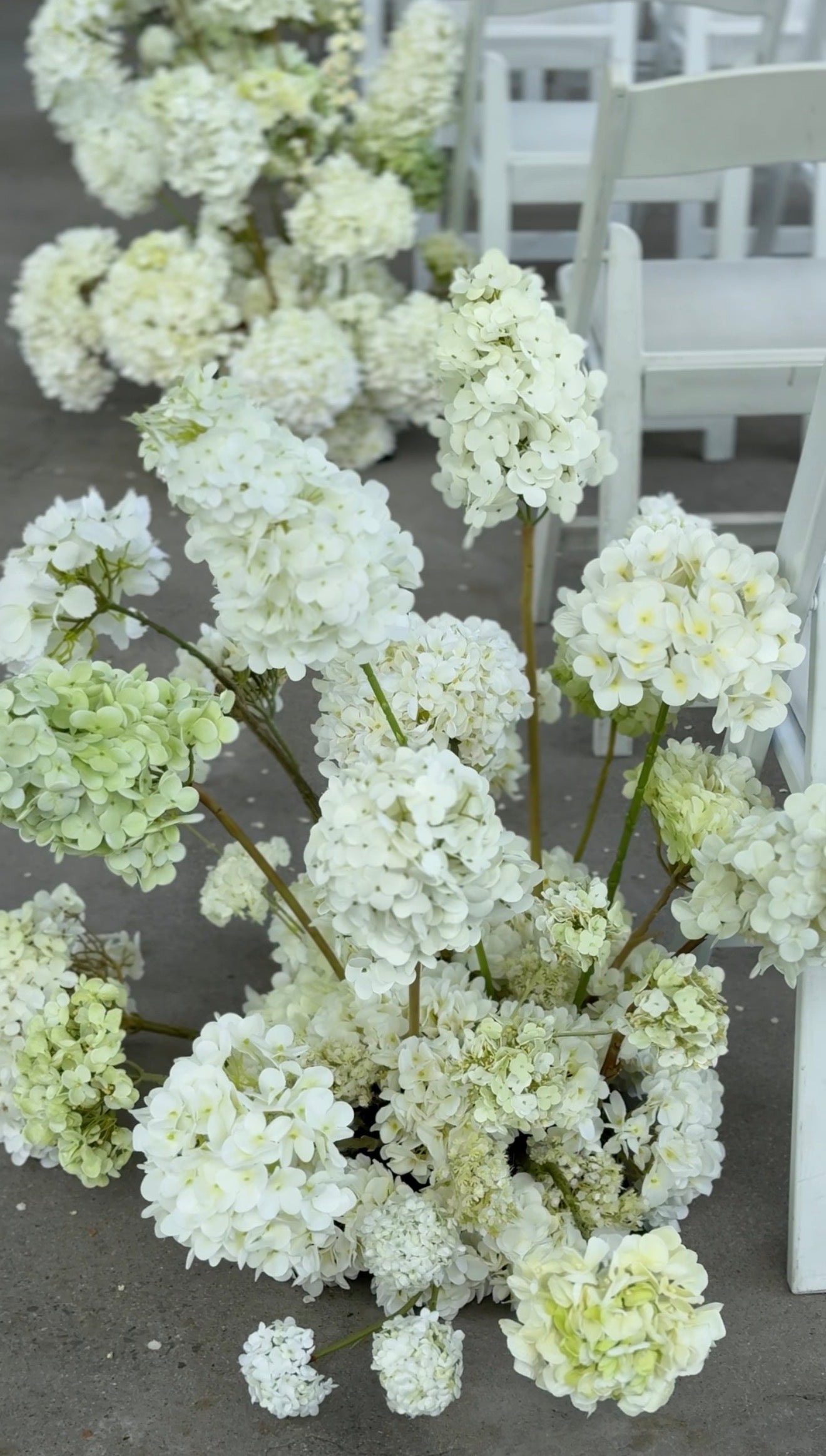 The White Hydrangea Aisle