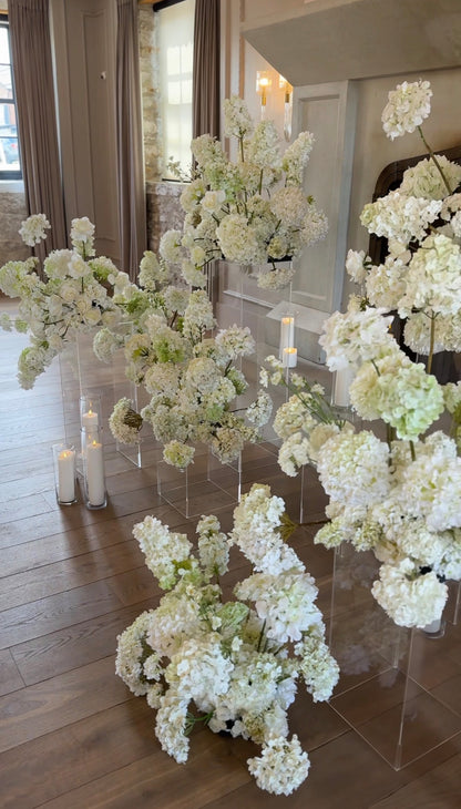 The White Hydrangea Backdrop