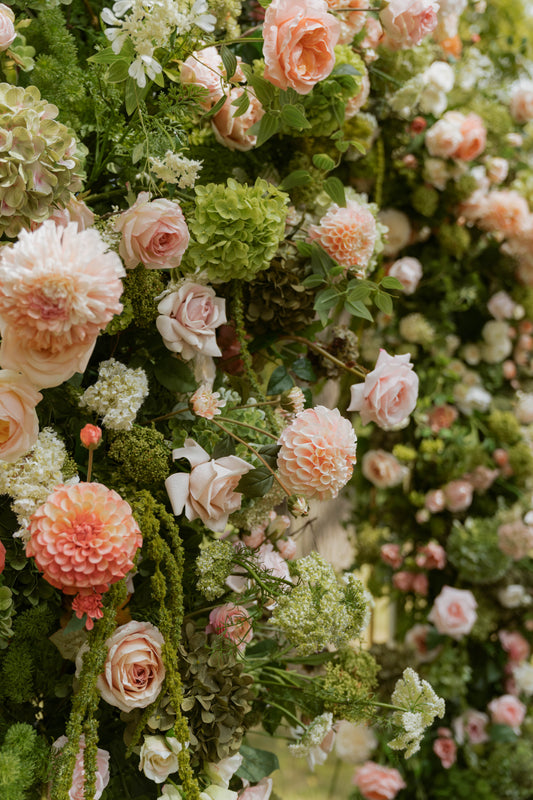 The Peach Arch *NEW*