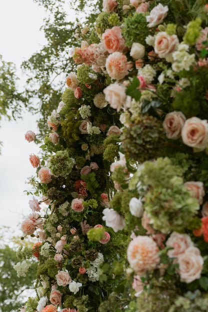 The Peach Arch *NEW*