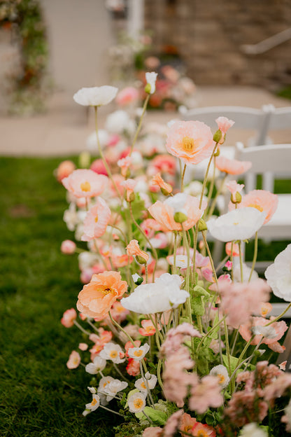 The Poppy Aisle