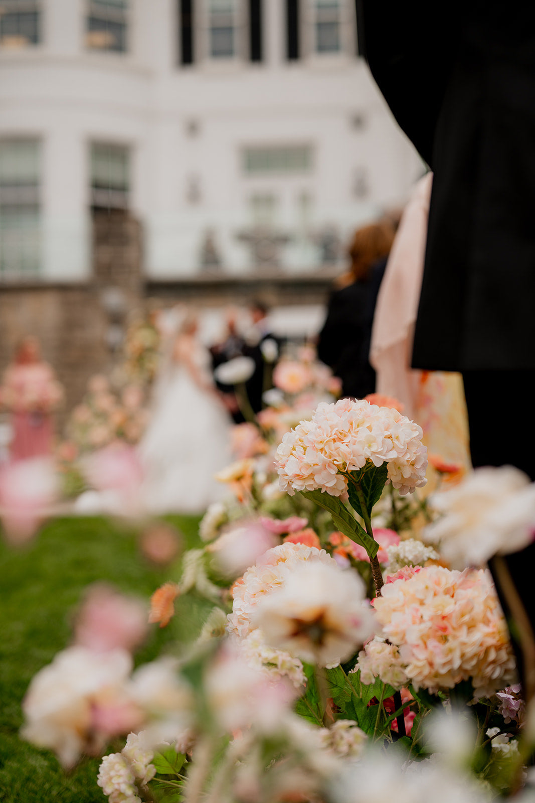 The Poppy Aisle