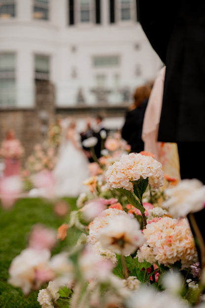 The Poppy Aisle