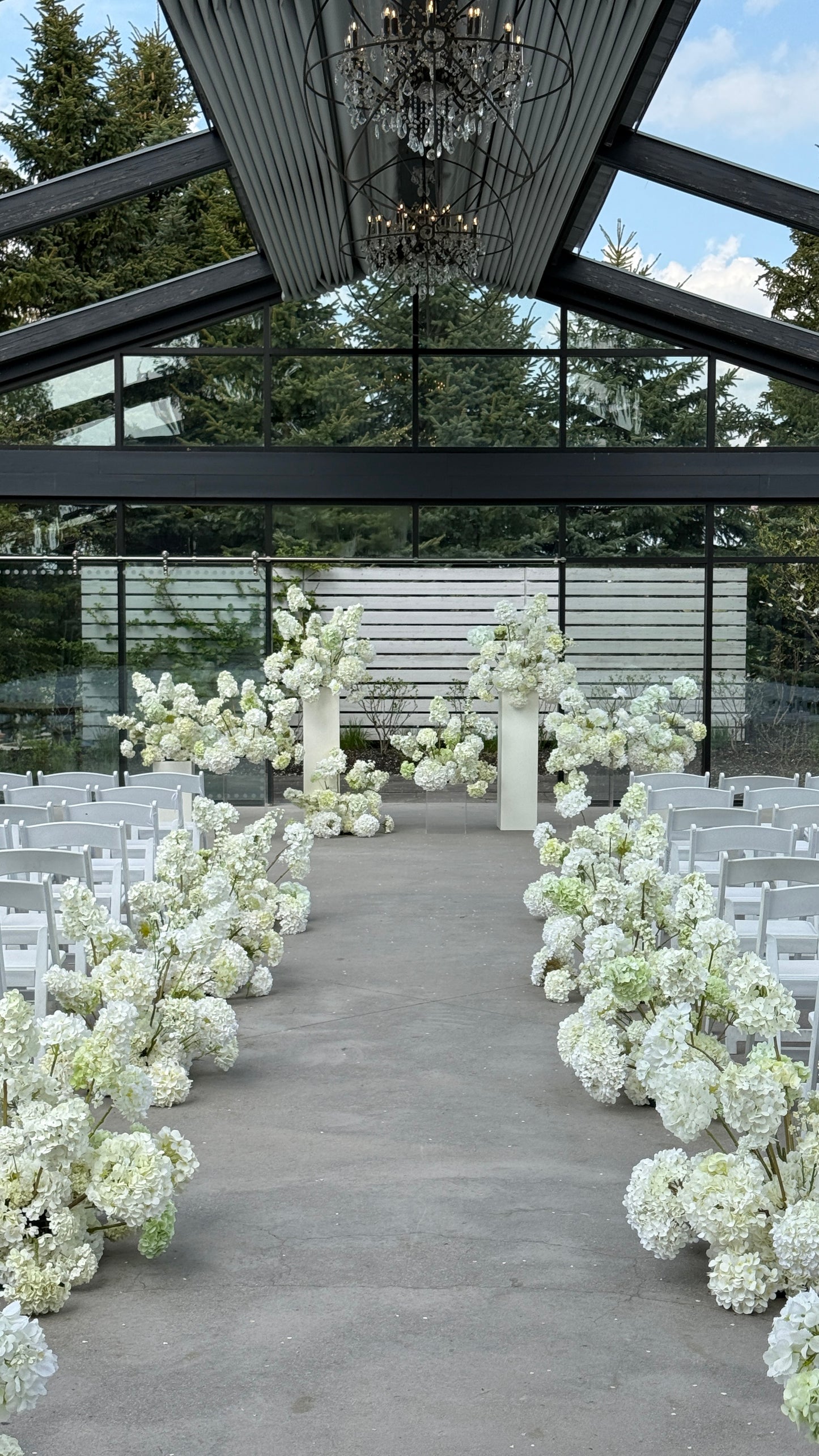 The White Hydrangea Backdrop